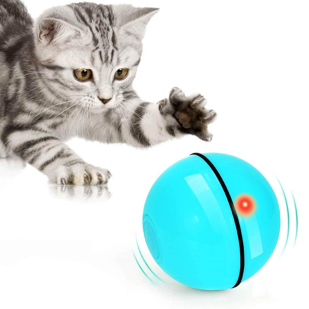 WWVVPET Bola interactiva juguete para gatos