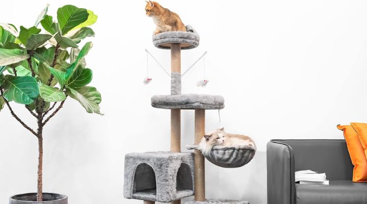 mejores rascadores gatos